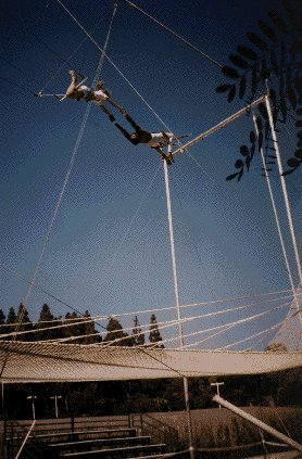 Kids on Flying Trapeze