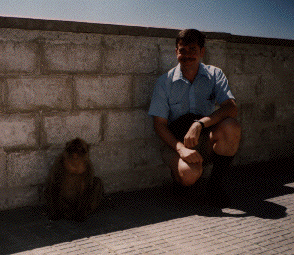 Gibraltar Monkey and Man