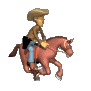 rodeo horse