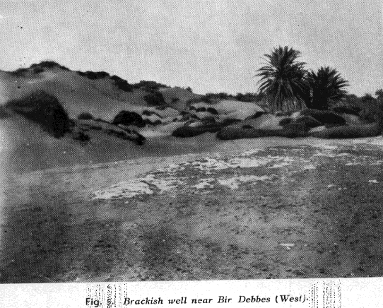 Desert near Uweinat in 1930-31