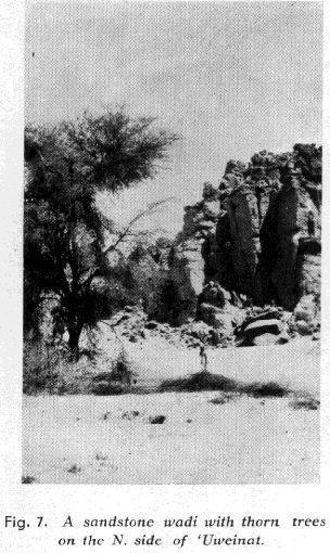 Desert near Uweinat in 1930-31